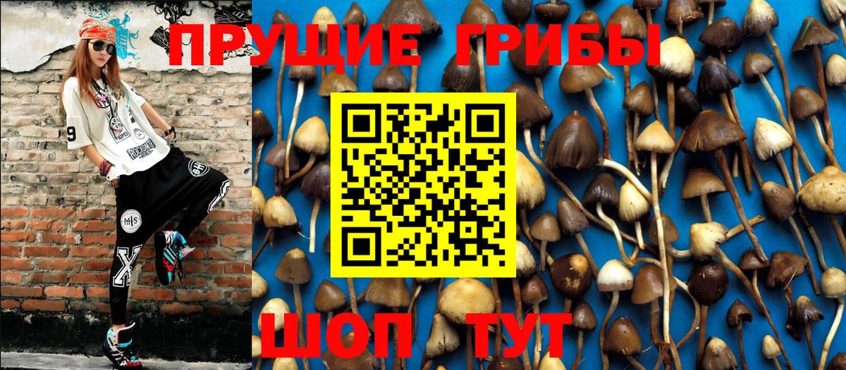 Галлюциногенные грибы GOLDEN TEACHER Королёв
