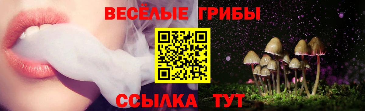 дарнет шоп  Вход с VPN  Королёв  Галлюциногенные грибы Psilocybe 